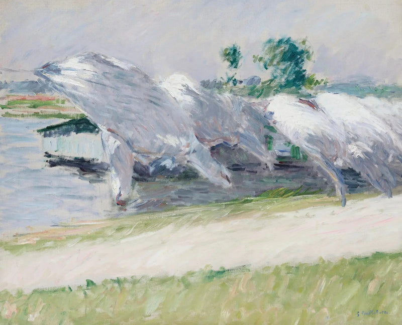 Tørkestativ, Petit Gennevilliers - Gustave Caillebotte