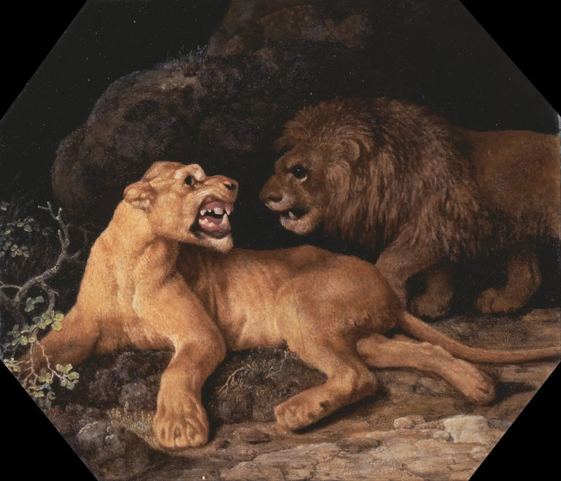 Løve og løvinne - George Stubbs

Source:
Lion et Lione - George Stubbs
