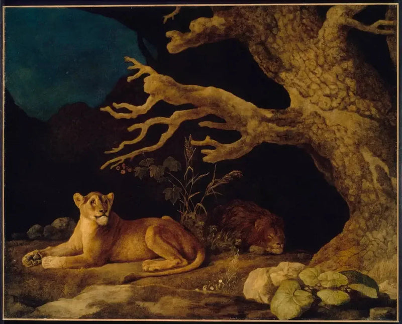 Løve og løvinne - George Stubbs

Source:
Lion et Lionne - George Stubbs