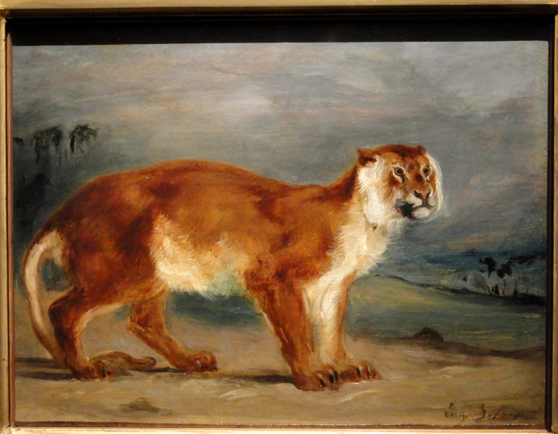 Løvinne - Eugène Delacroix