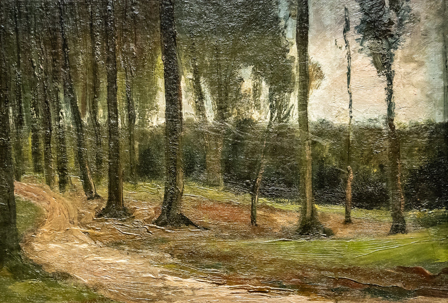 skogkant - Vincent van Gogh