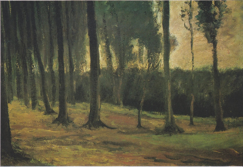 skogkant - Vincent van Gogh