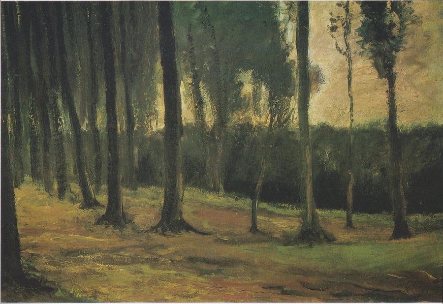 skogkant - Vincent van Gogh