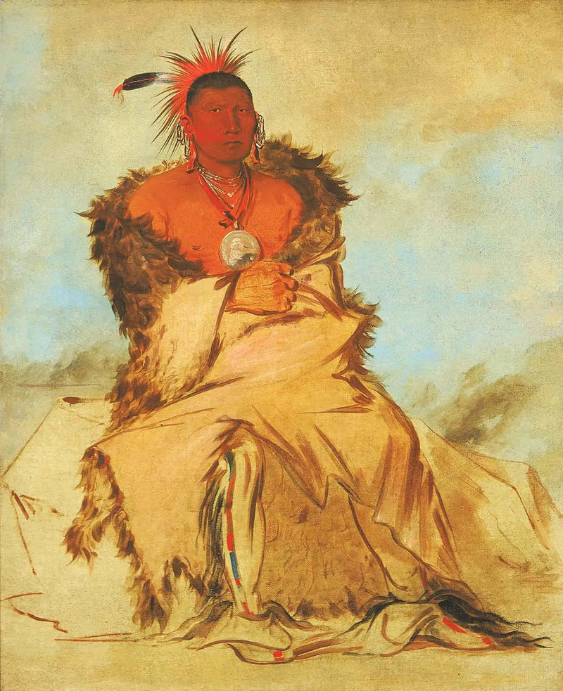 Loo-rá-wée-re-coo, fugl som drar i krig, en Pawnee-oppstyr - George Catlin

Source:
Loo-rá-wée-re-coo, Oiseau qui part en guerre, un Tapage Pawnee - George Catlin