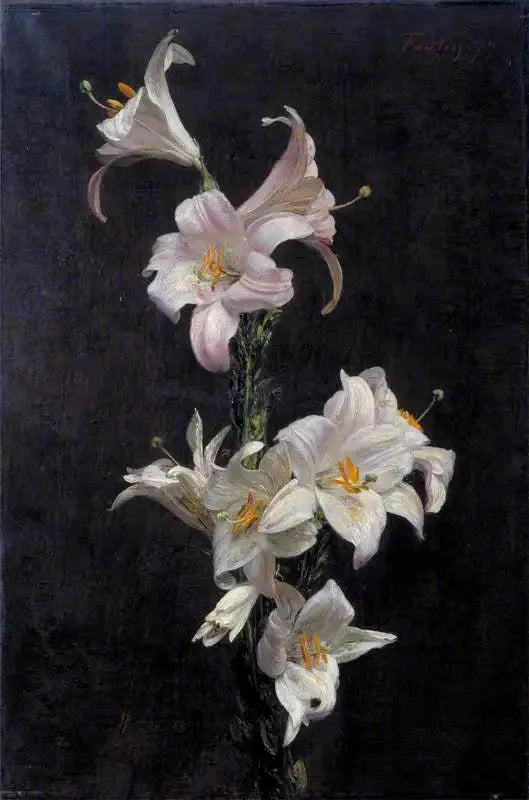 Hvite lys - Henri Fantin-Latour

Source:
Lys blancs - Henri Fantin-Latour