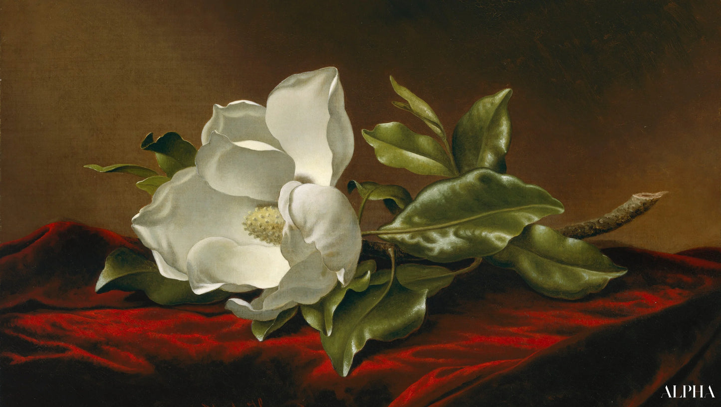 Reproduction du tableau « Magnolia Grandiflora - Martin Johnson Heade » par Alpha Reproduction en peinture à l’huile