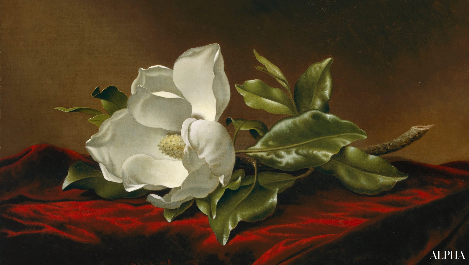 Reproduction du tableau « Magnolia Grandiflora - Martin Johnson Heade » par Alpha Reproduction en peinture à l’huile