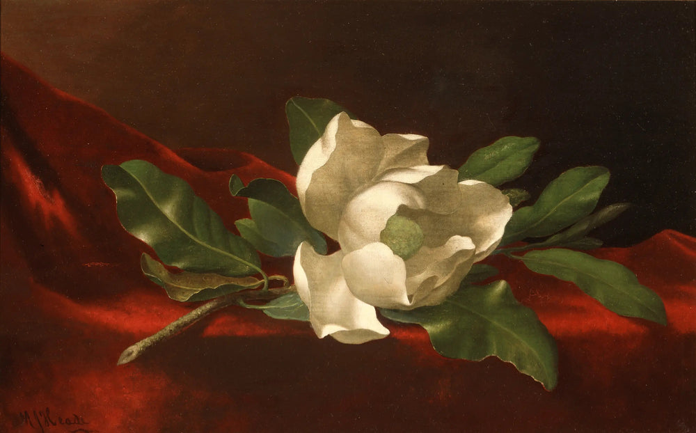 Magnolia - Martin Johnson Heade image 1 copie peinte à la main à l’huile