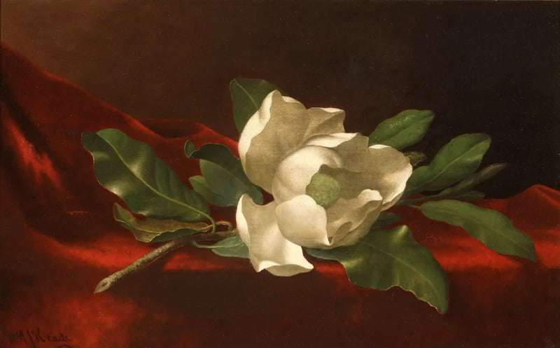 Magnolia - Martin Johnson Heade

Source:
Magnolia - Martin Johnson Heade