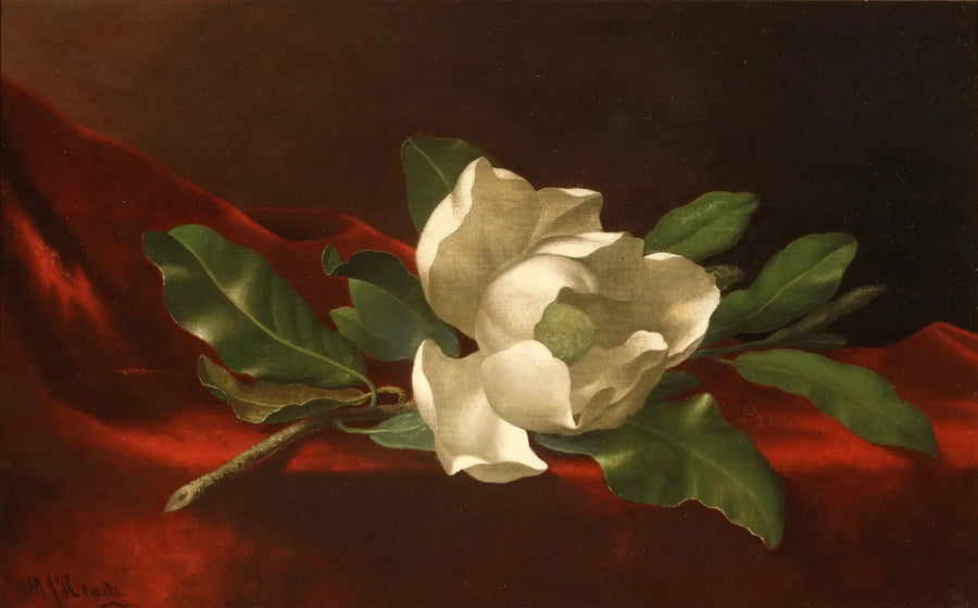 Magnolia - Martin Johnson Heade

Source:
Magnolia - Martin Johnson Heade