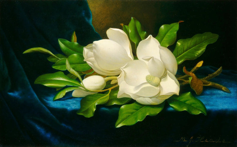Kjempe magnolier på blå fløyel - Martin Johnson Heade

Source:
Magnolias géants sur velours bleu - Martin Johnson Heade