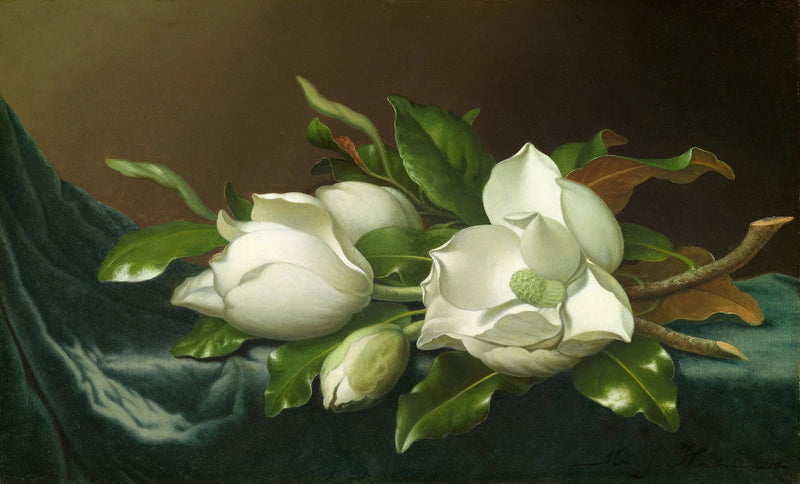 Magnolier på lyseblå fløyelsstoff - Martin Johnson Heade

Source:
Magnolias sur tissu de velours bleu clair - Martin Johnson Heade