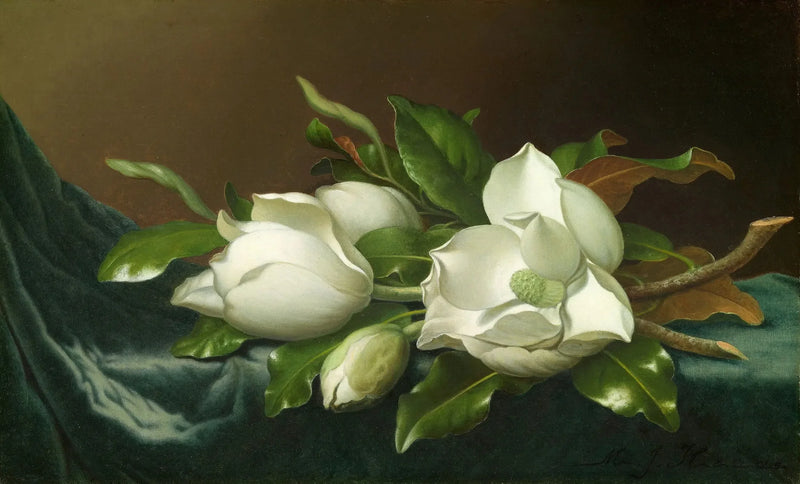 Magnolier på lyseblå fløyelsstoff - Martin Johnson Heade

Source:
Magnolias sur tissu de velours bleu clair - Martin Johnson Heade