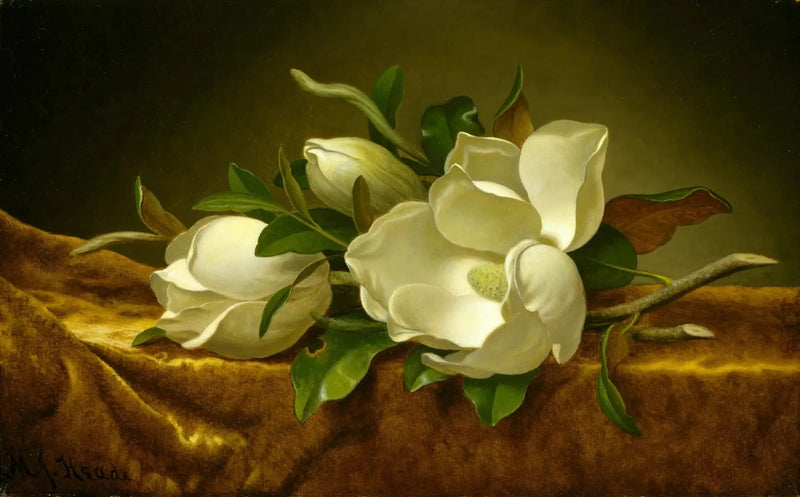 Magnolier på gullfarget fløyelstoff - Martin Johnson Heade

Source:
Magnolias sur tissu de velours doré - Martin Johnson Heade