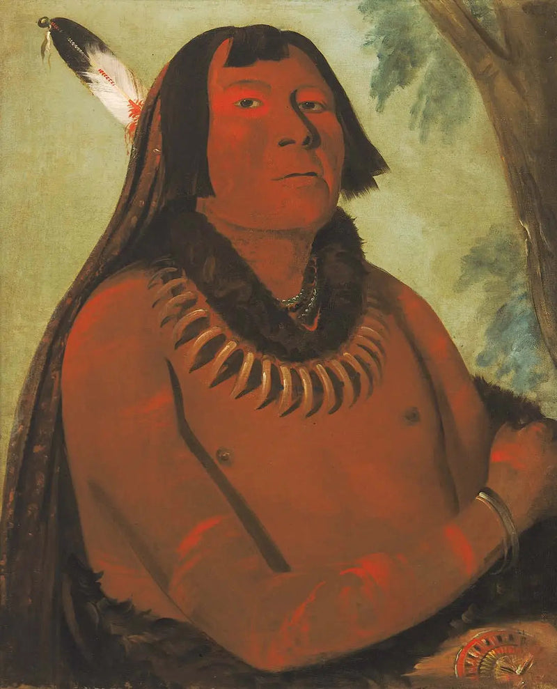 Mah-táhp-ta-a, skynder seg til midten, en modig - George Catlin

Source:
Mah-táhp-ta-a, se précipite au milieu, un brave - George Catlin