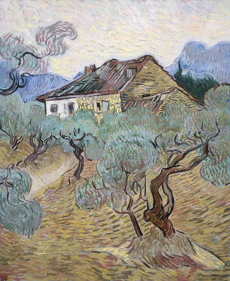 Det hvite huset blant oliventrærne - Vincent van Gogh