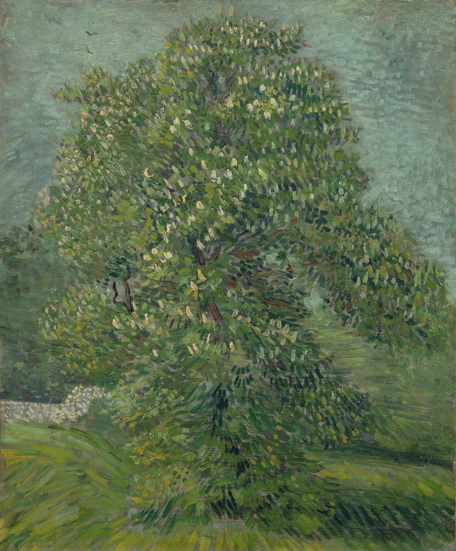Hestekastanje i blomst - Vincent van Gogh