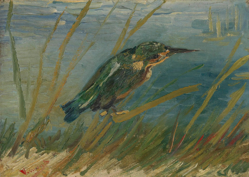 Isfugl ved vannkanten - Vincent van Gogh