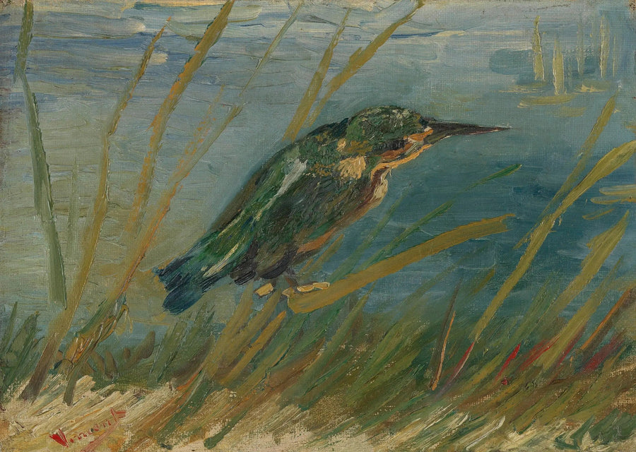 Isfugl ved vannkanten - Vincent van Gogh