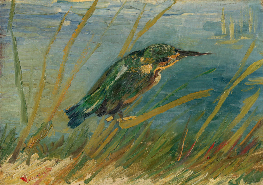 Isfugl ved vannkanten - Vincent van Gogh