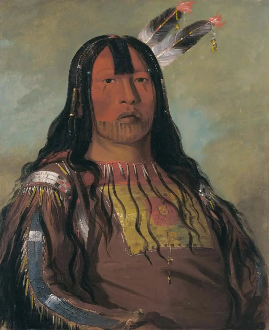 Mix-ke-móte-skin-na, Jernhorn, en kriger - George Catlin

Source:
Mix-ke-móte-skin-na, Corne de Fer, un Guerrier - George Catlin