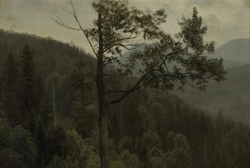 Fjell dekket av trær - Albert Bierstadt

Source:
Montagnes couvertes d'arbres - Albert Bierstadt