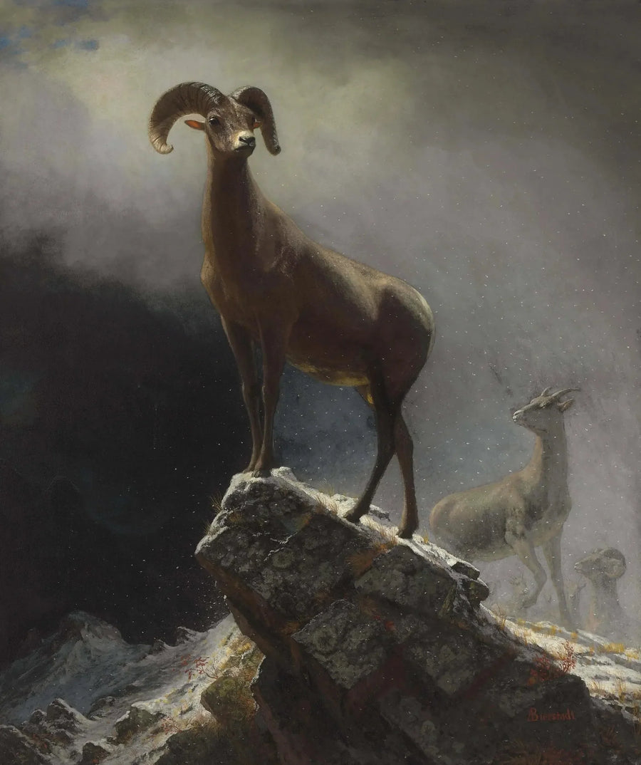 Rocheuses fjellmouflon - Albert Bierstadt

Source:
Mouflon des montagnes Rocheuses - Albert Bierstadt