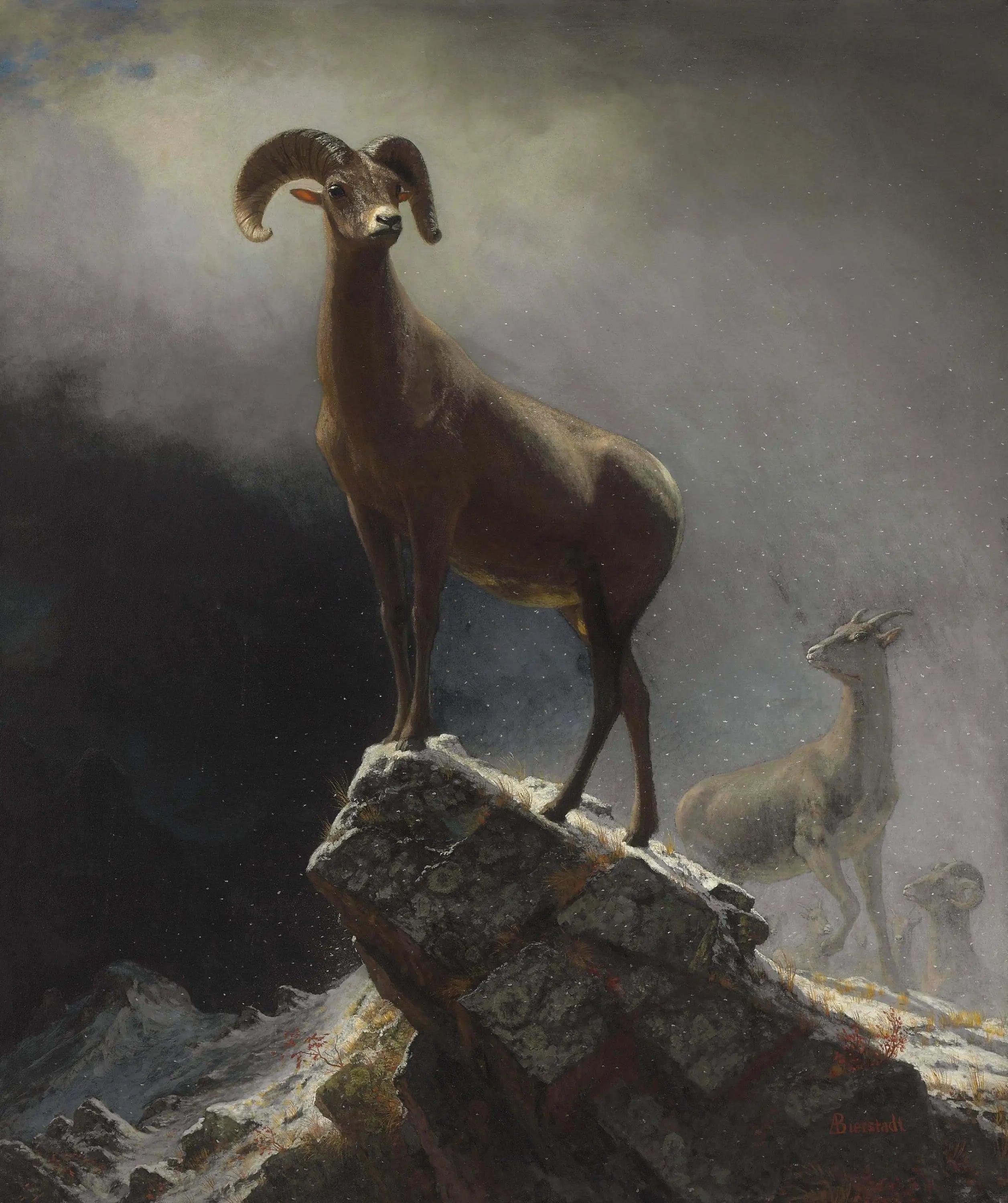 Mouflon des montagnes Rocheuses - Albert Bierstadt - Alpha Reproduction