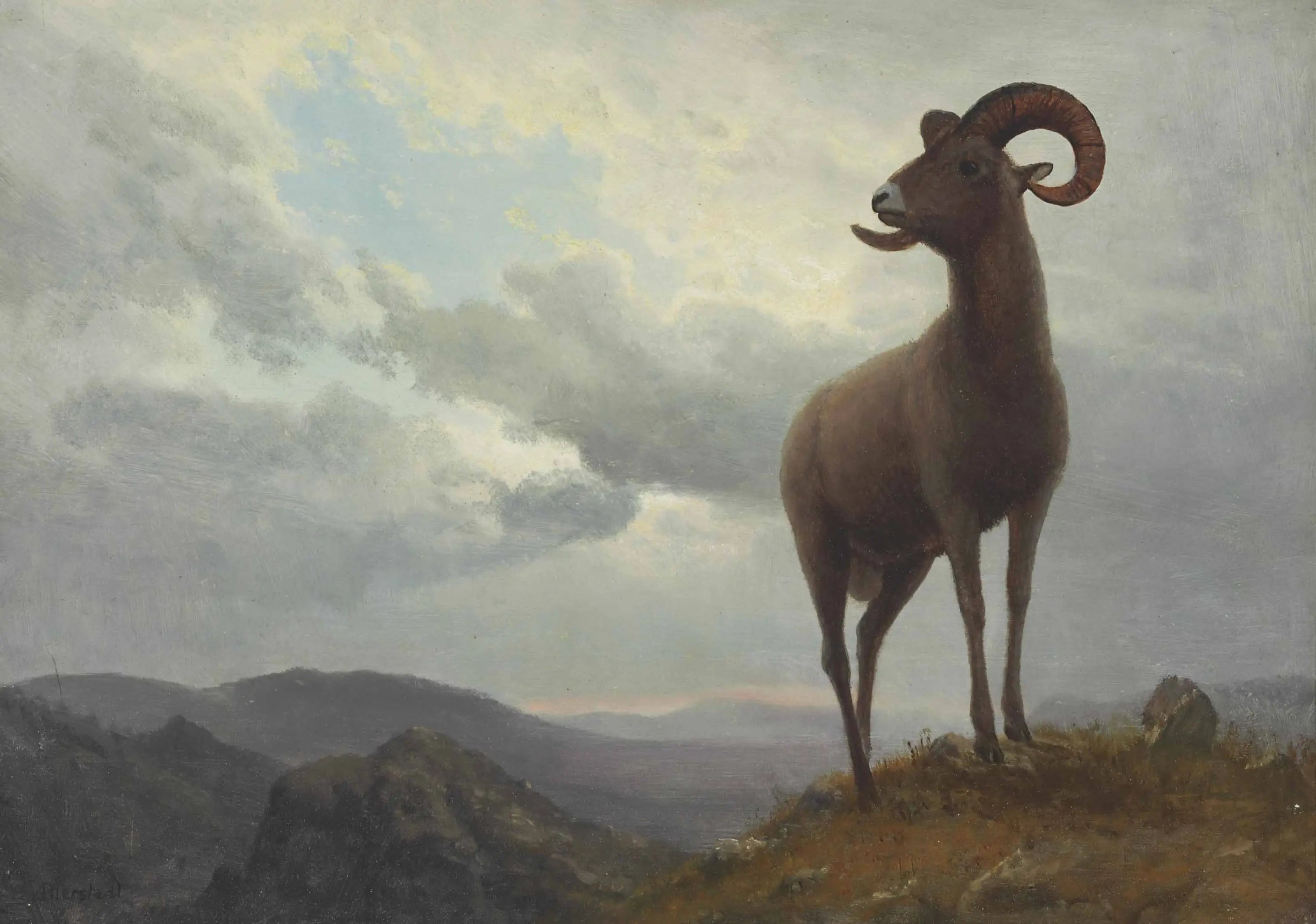 Mouton à longues cornes - Albert Bierstadt image 1 copie de tableau peinte à la main