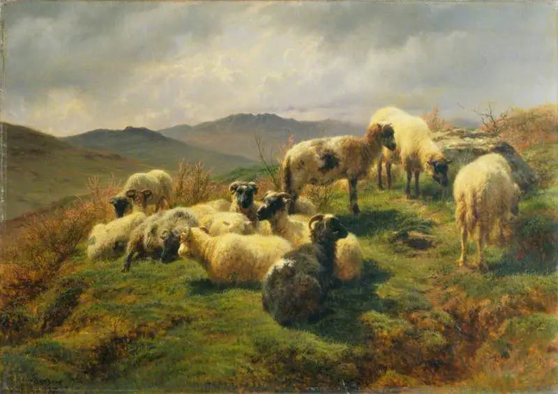 Sauene i Highlands - Rosa Bonheur