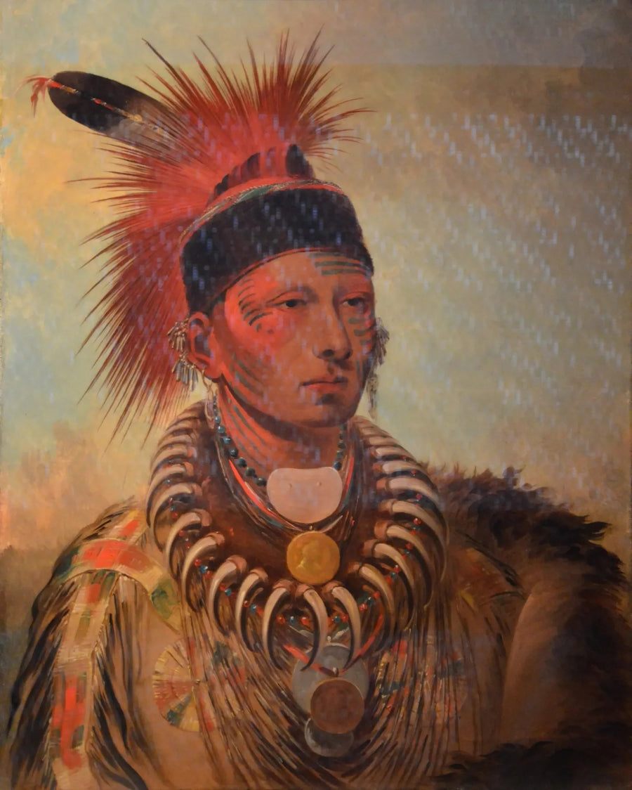 Mu-hu-she-kaw (Den hvite sky) - George Catlin

Source:
Mu-hu-she-kaw (Le nuage blanc) - George Catlin