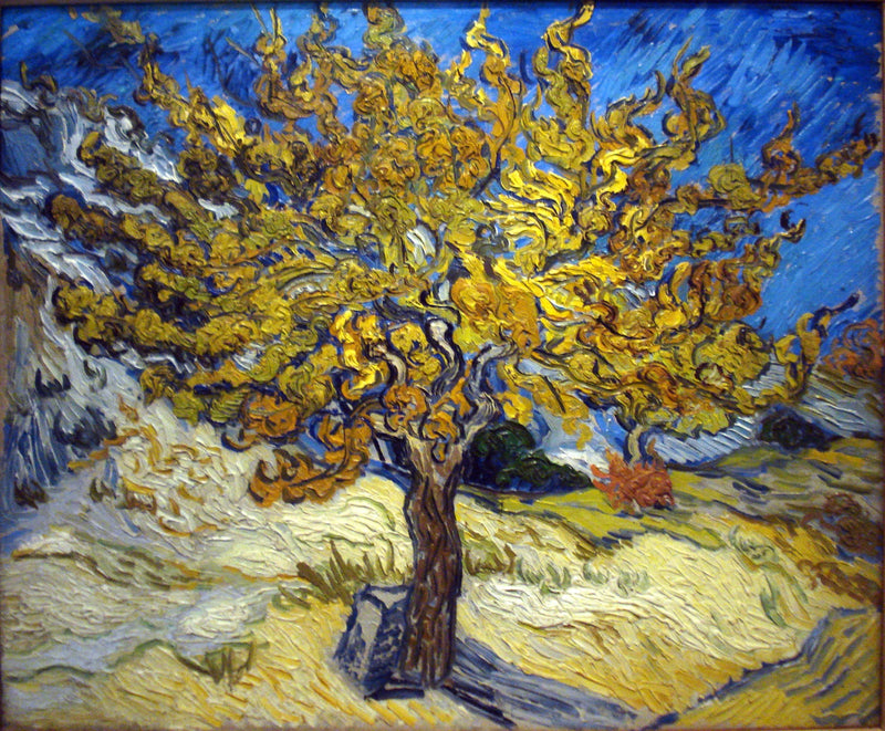Morbærtreet - Vincent van Gogh