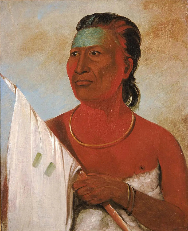 Náh-pope, Suppe, rådgiver for Black Hawk - George Catlin

Source:
Náh-pope, Soup, conseiller de Black Hawk - George Catlin