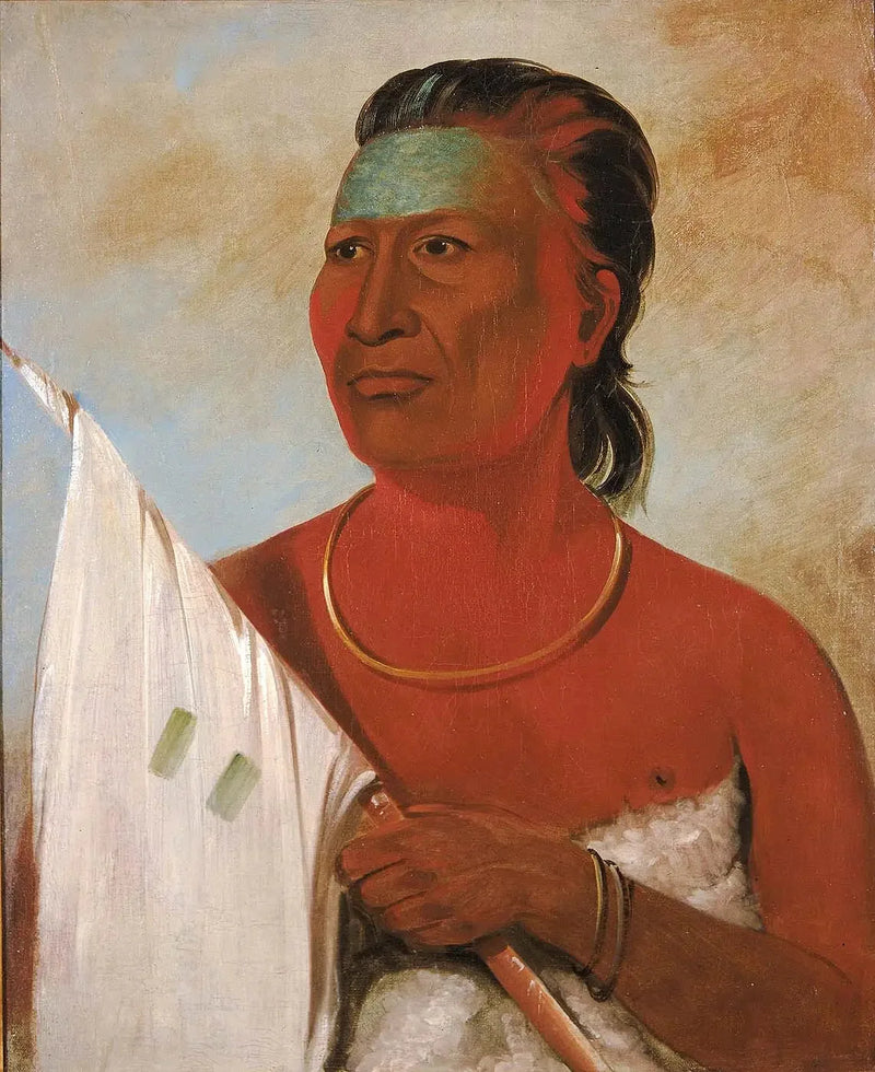 Náh-pope, Suppe, rådgiver for Black Hawk - George Catlin

Source:
Náh-pope, Soup, conseiller de Black Hawk - George Catlin