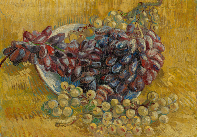 Druer - Vincent van Gogh