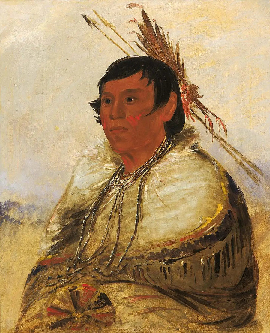 Ni-a-có-mo, Fix With the Foot, en Brave - George Catlin

Source:
Ni-a-có-mo, Fix With the Foot, un Brave - George Catlin