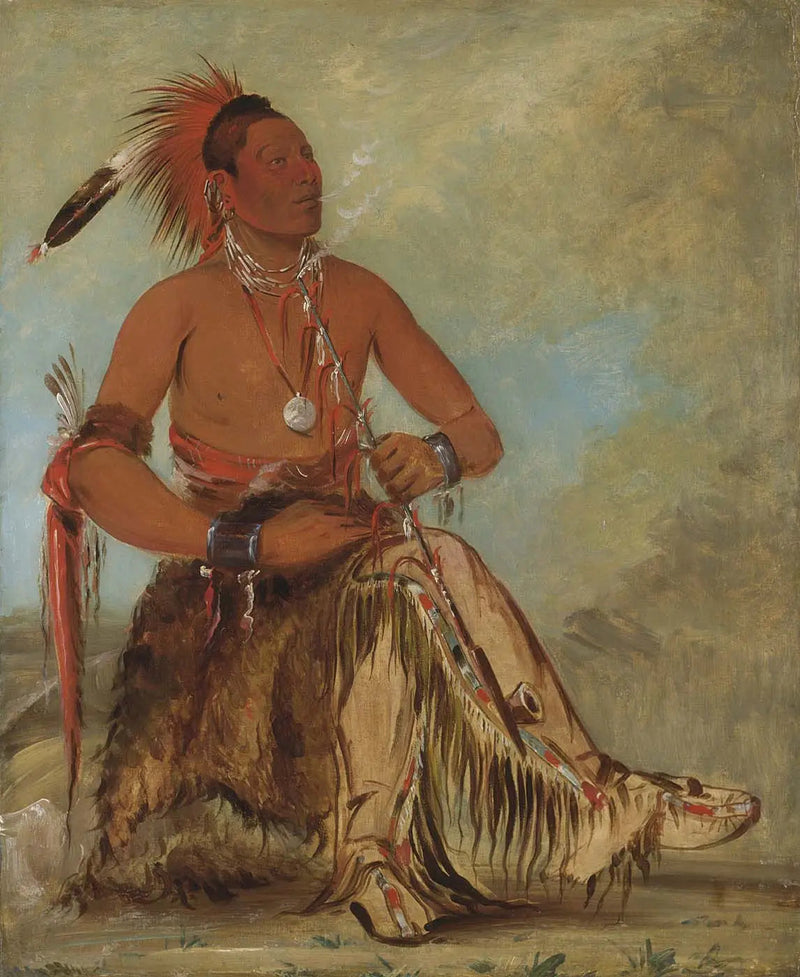 Nóm-ba-mon-nee, Double Walker, en Brave - George Catlin

Source:
Nóm-ba-mon-nee, Double Walker, un Brave - George Catlin