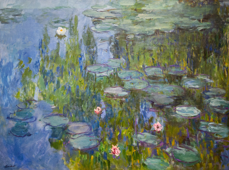 Vannliljer, Neue Pinakothek W1796 - Claude Monet