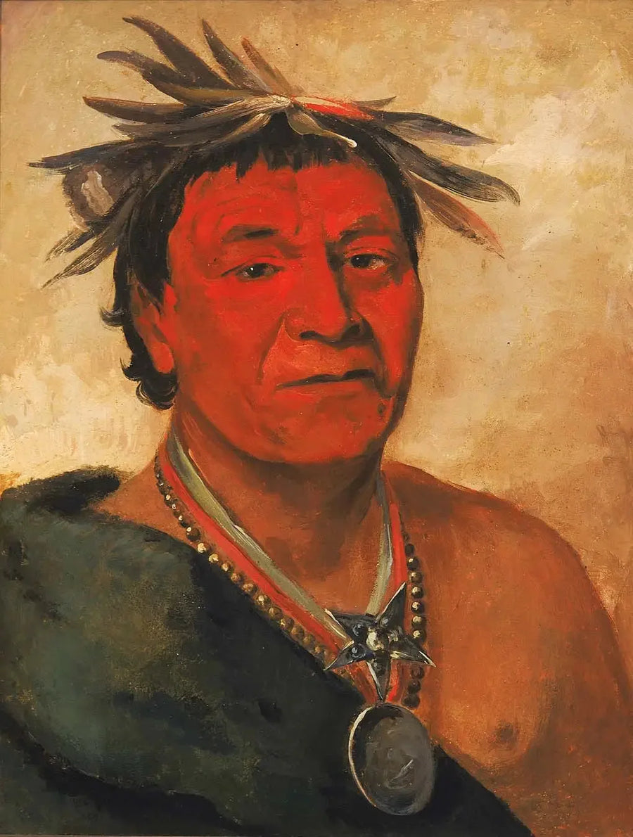 O-ho-páh-sha, Small Whoop, en utmerket kriger - George Catlin

Source:
O-ho-páh-sha, Small Whoop, un guerrier distingué - George Catlin