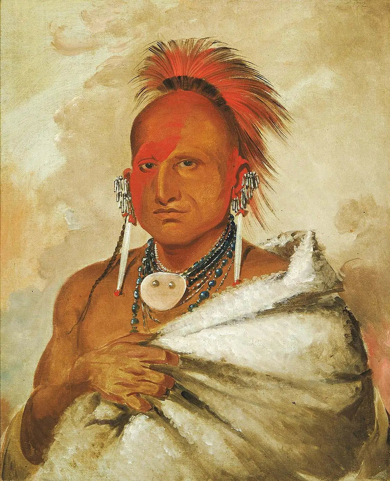 O-rón-gás-see, bjørnejager, en berømt kriger - George Catlin

Source:
O-rón-gás-see, chasseur d'ours, un guerrier célèbre - George Catlin