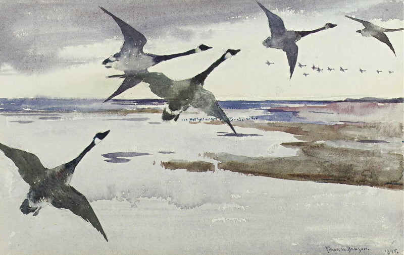 Canada-gjessene - Frank Weston Benson