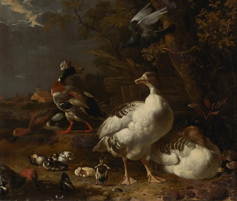 Gjess og ender - Melchior de Hondecoeter