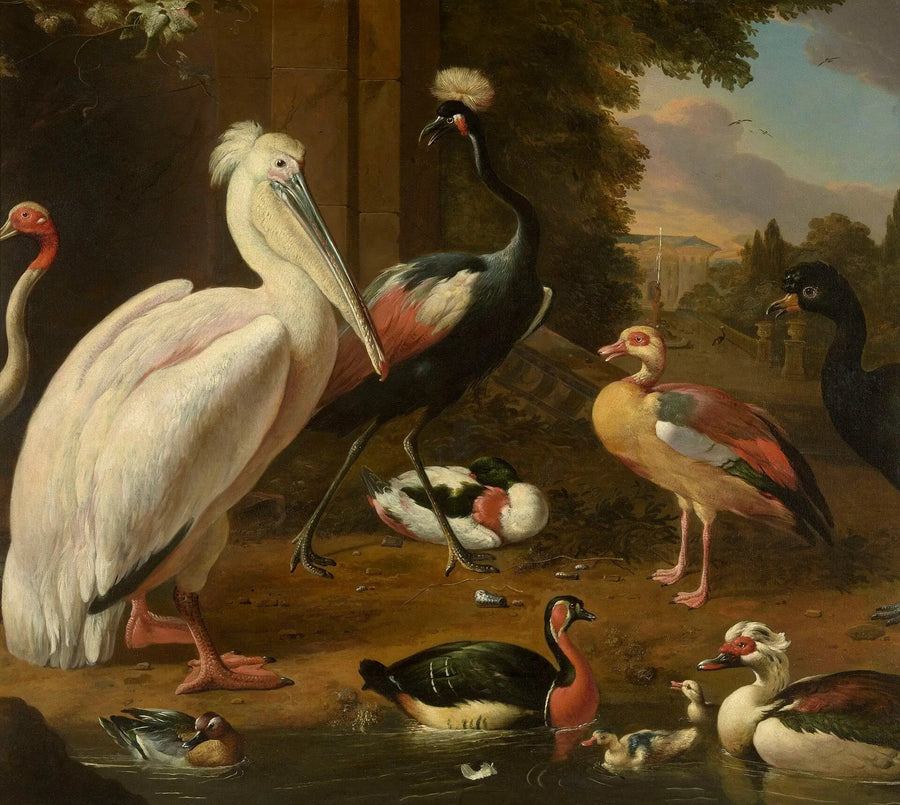 Våteksjøfugler - Melchior de Hondecoeter