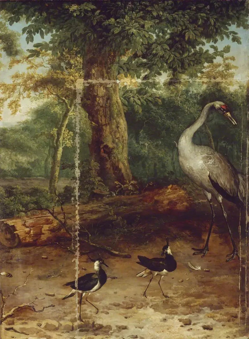 Fugler i en skog - Melchior de Hondecoeter