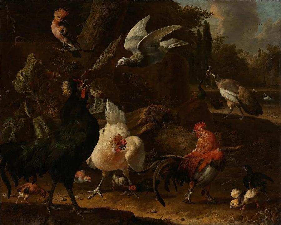 Fugler i en park - Melchior de Hondecoeter