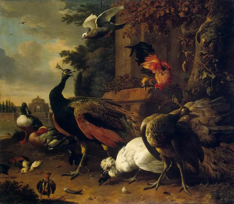Fugler i en park - Melchior de Hondecoeter