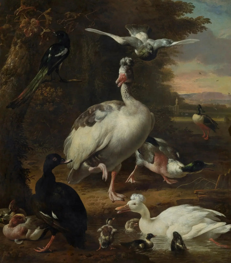 Fugler - Melchior de Hondecoeter