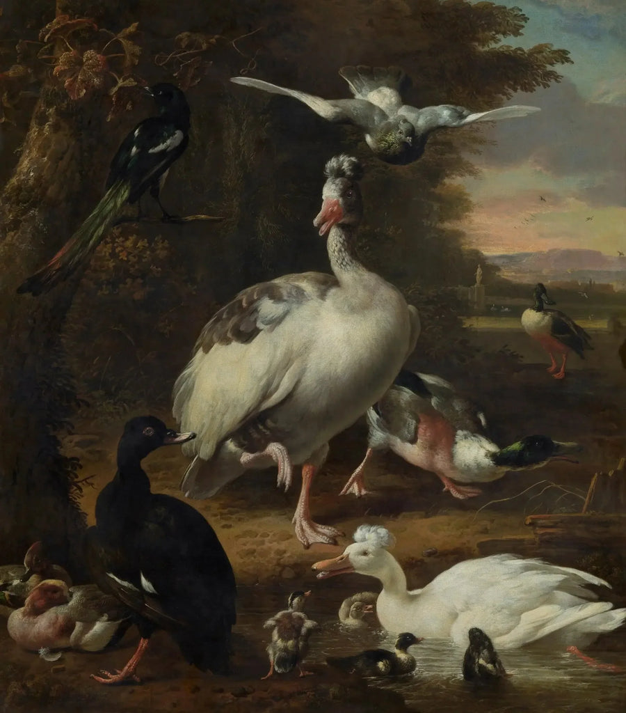 Fugler - Melchior de Hondecoeter