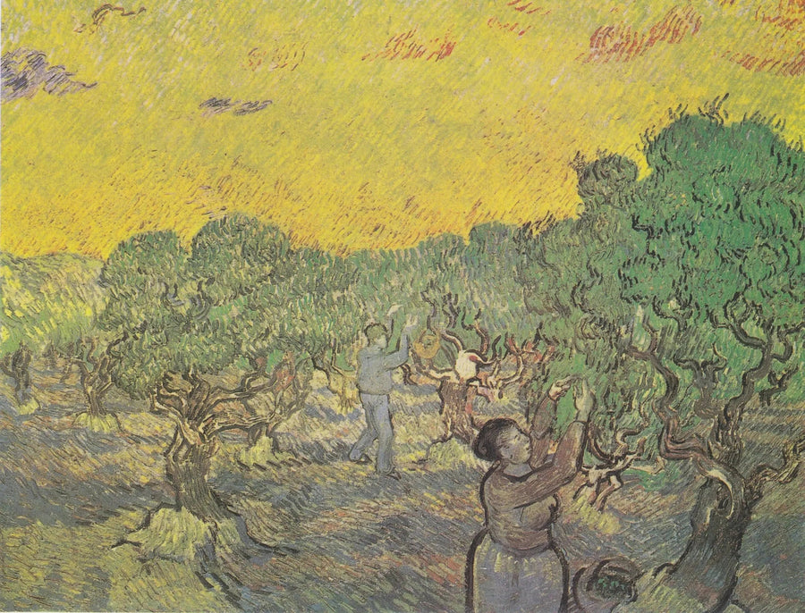 Olivlund med plukkefigurer - Vincent van Gogh