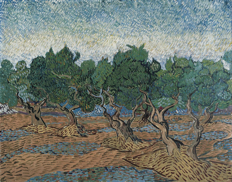 Olivenlund - Vincent van Gogh